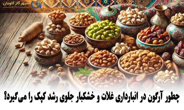 چطور آرگون در انبارداری غلات و خشکبار جلوی رشد کپک را می‌گیرد؟