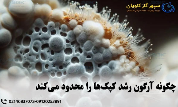 چگونه آرگون رشد کپک‌ها را محدود می‌کند